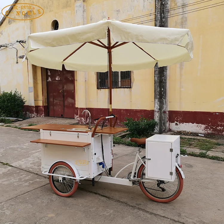 Outdoor Business Bike Electric Coffee Bike For Drink Food Bike