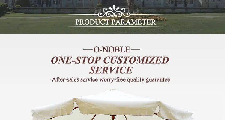 Outdoor Business Bike Electric Coffee Bike For Drink Food Bike