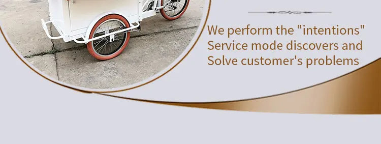 Outdoor Business Bike Electric Coffee Bike For Drink Food Bike