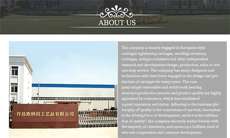 Outdoor Business Bike Electric Coffee Bike For Drink Food Bike