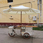 Outdoor Business Bike Electric Coffee Bike For Drink Food Bike