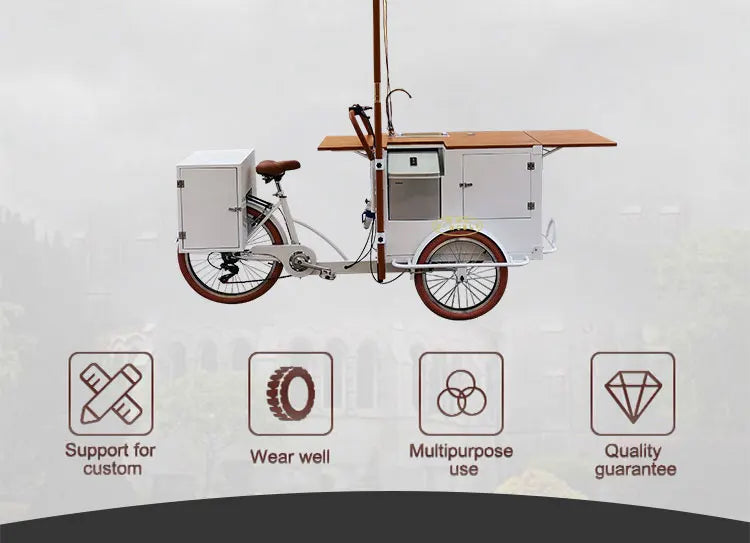 Outdoor Business Bike Electric Coffee Bike For Drink Food Bike